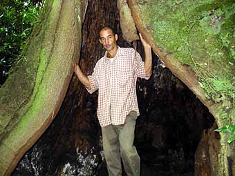 Standing at opening of tree trunk