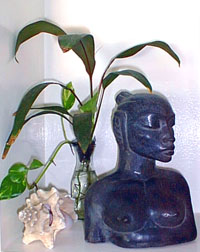 Gene Pearson sculpture, conch shell, plants
