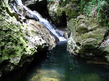 waterfall in quashies river caves