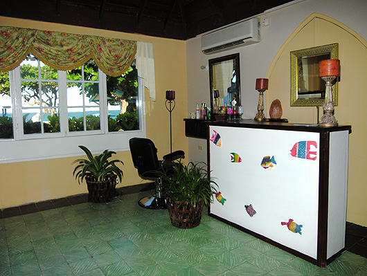 spa interior reception