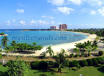 tbt-viewofbay-logo.jpg