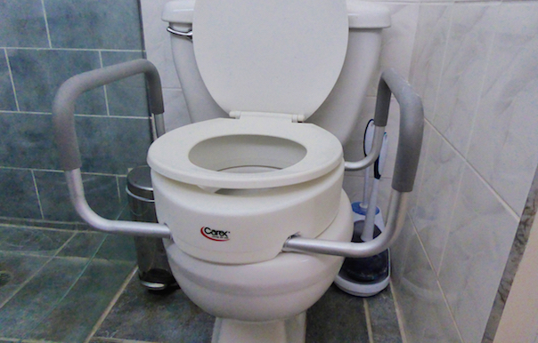 elevated toilet seat with arms