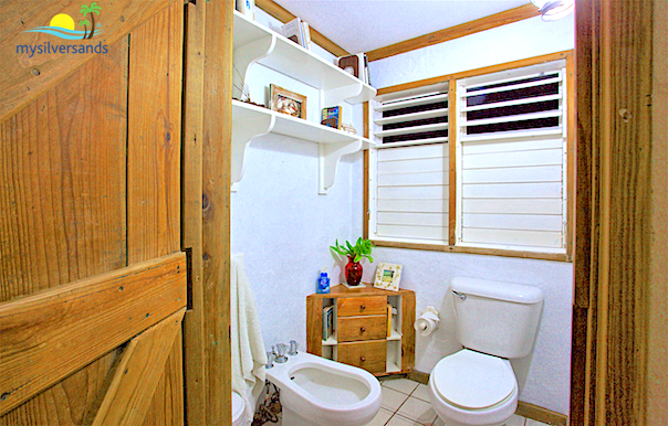 separate room with toilet and bidet