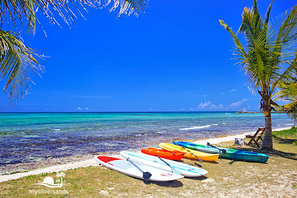 paddle boards and kayaks