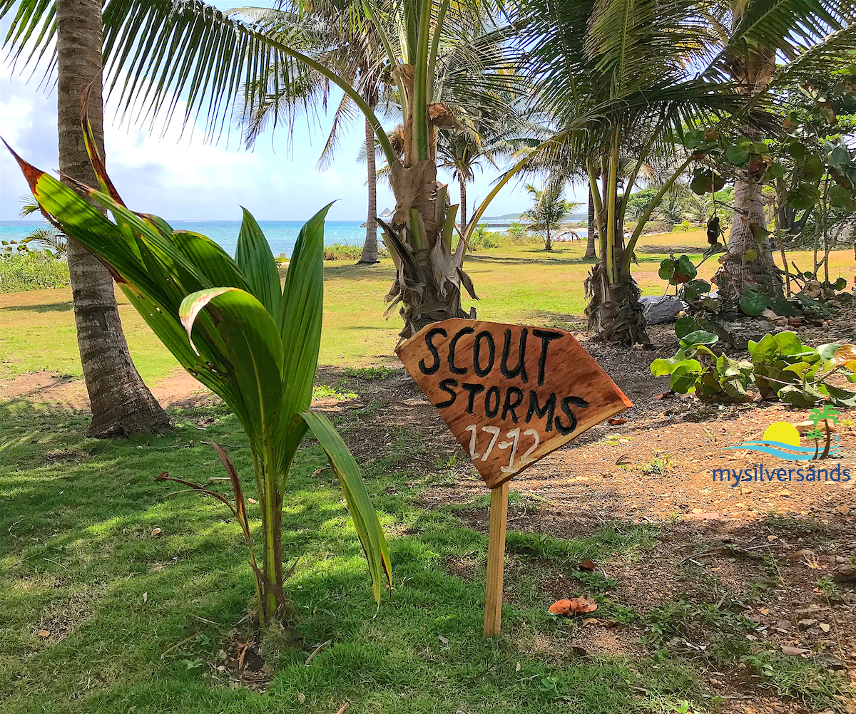 coconut tree name sign