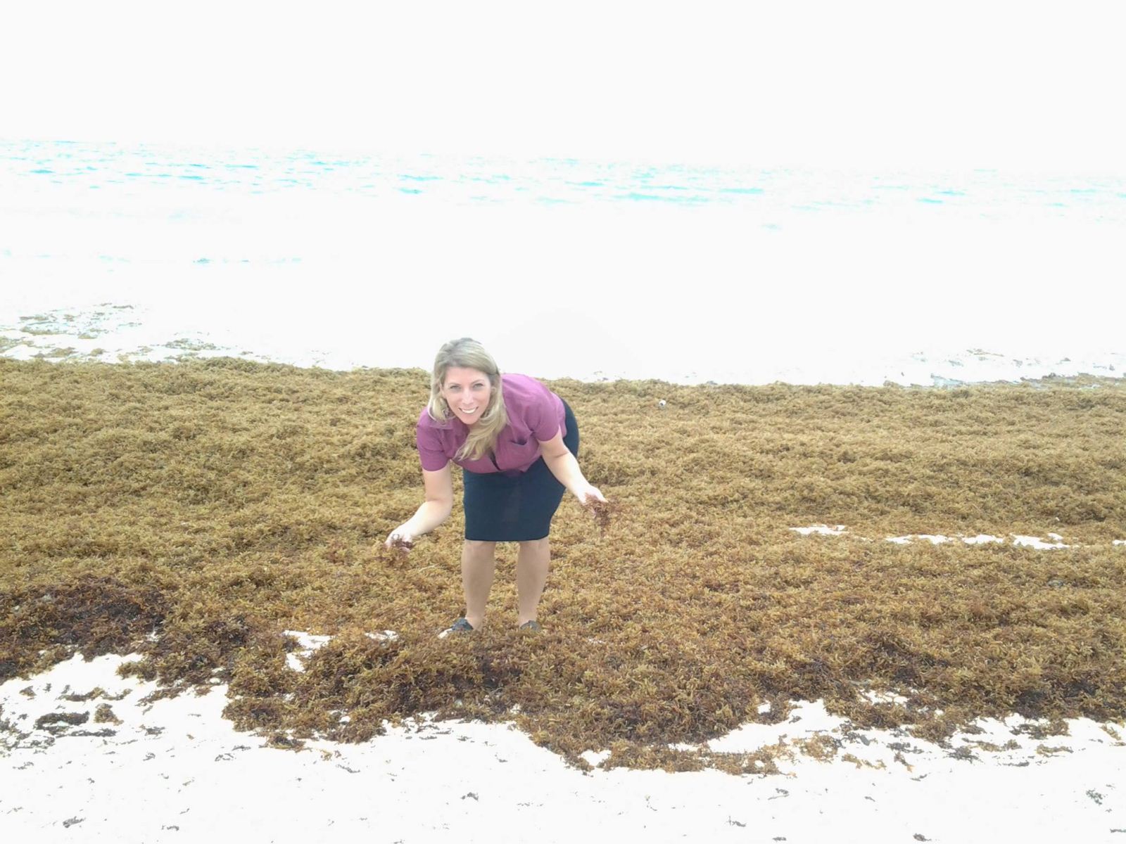 jenny in the sargassum seaweed