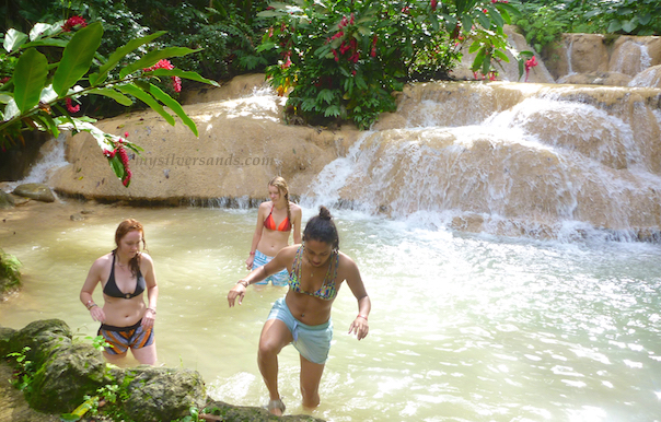 turtle river falls
