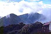 Blue Mountains