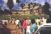 brown's town