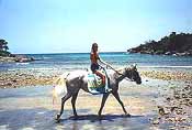 horseback riding in jamaica