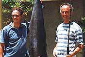 deep sea fishing big catch