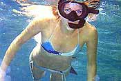 snorkeling in jamaica