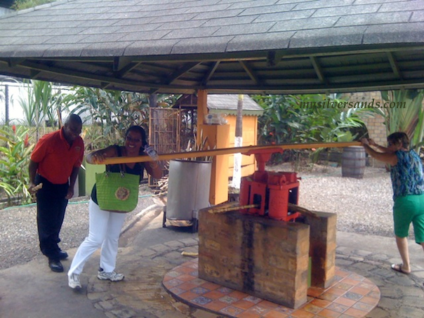 guests try their hand at extracting sugarcane juice from which rum is made