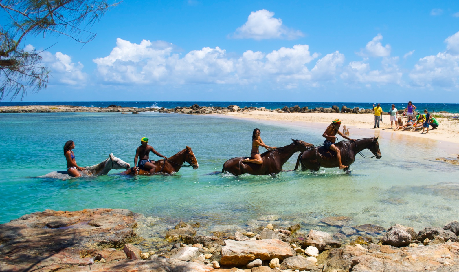 braco stables horesback riding in the sea