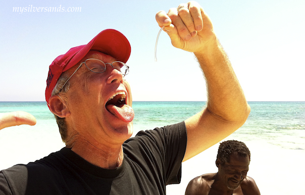 geoff gibson eats the conch worm at endless summer villa in silver sands jamaica