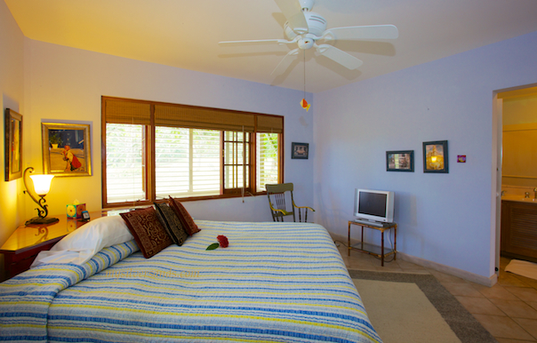 Bedroom 2 of Rock Hill Villa is furnished with a king bed.