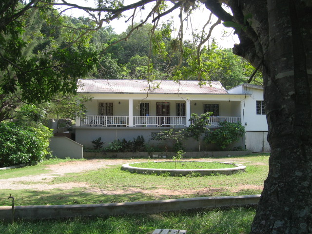 rodney bottom house for sale near duncans trelawny jamaica