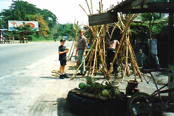 sugarcane vendor at roadside