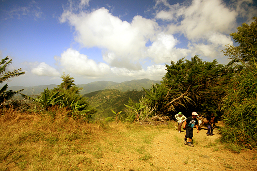 climbing the trail