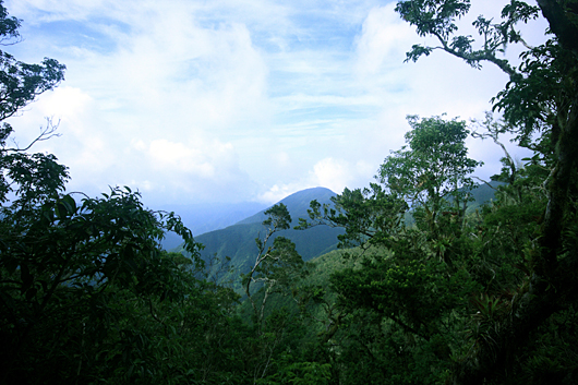 blue mountains