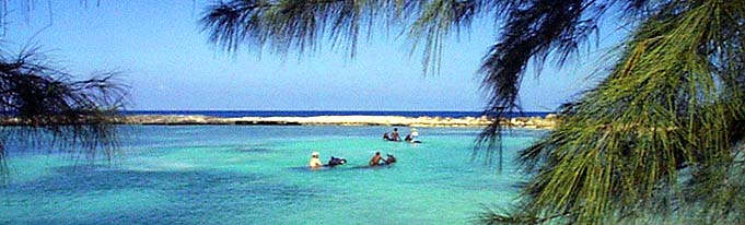 horseback riding in the sea braco stables