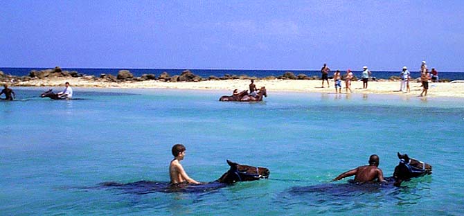 sea ride at braco stables