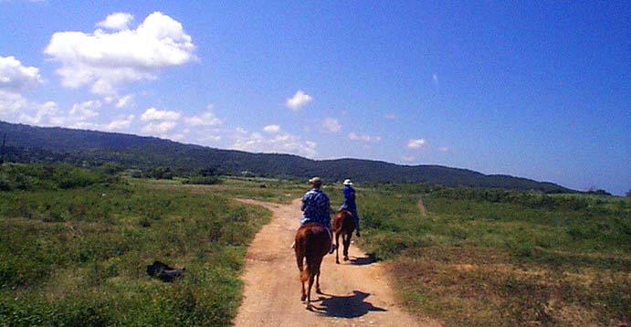 braco stables horseback riding trail