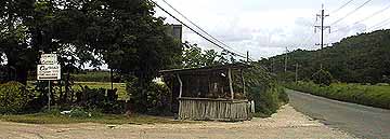 braco wood carver's stall