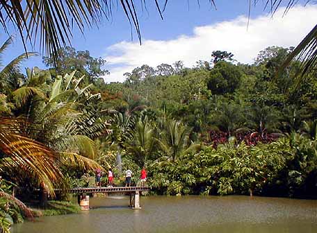 pond for fishing