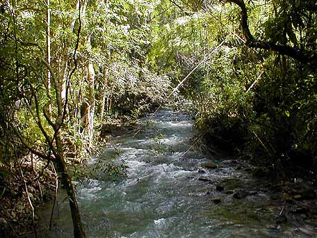 rapids, little river