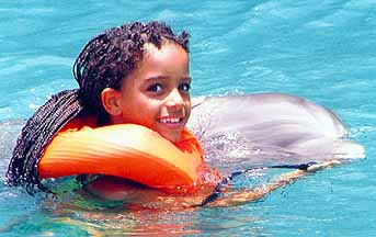 roxy with dolphin