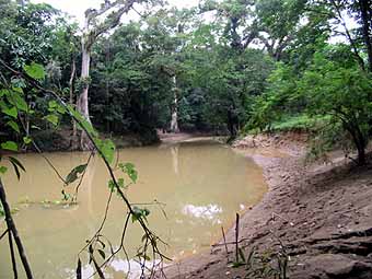 river flowing into rio bueno