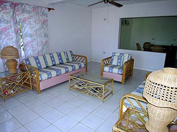 Lower level living room