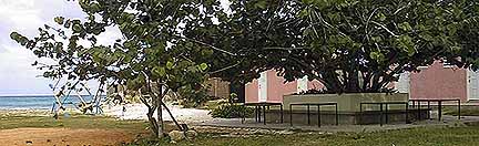 Picnic table and play area