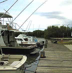 The boardwalk and the boats 