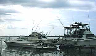 Boats at glistening waters marina