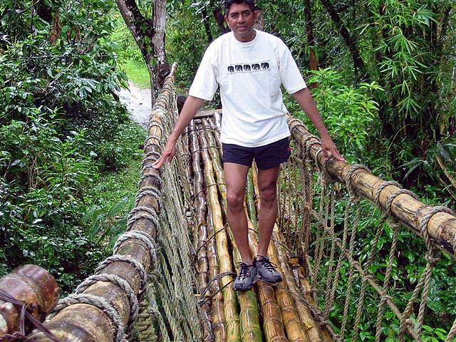 bamboo bridge