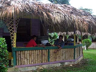 the dining area