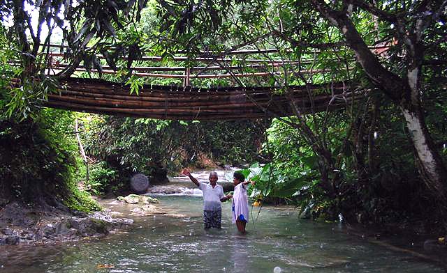 in the river under the bridge