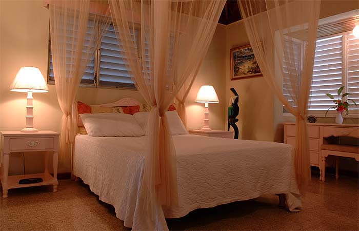 master bedroom with canopy