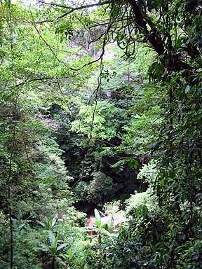 looking down into the cavern from the trail