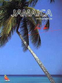 Cover of the little jamaica pocket book by ray chen
