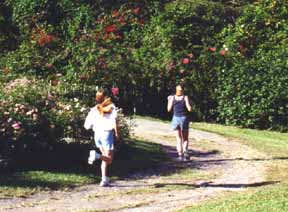 Jogging on the Silver Sands Estate.