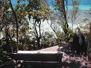 bench at look out point