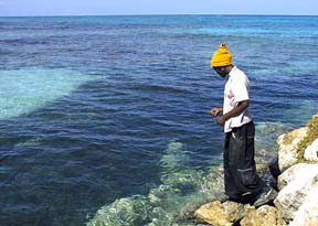 Line fishing from the jetty at silver sands