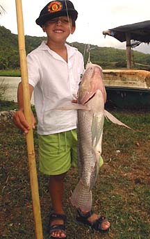 tej with fish at wilderness resorts