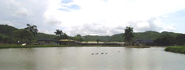 goshen wilderness resorts main fish pond