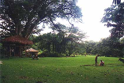 picnic ground at y s fall