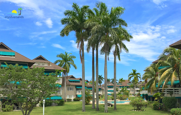 tall trees on the grounds of bay pointe apartments