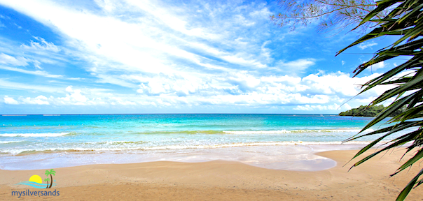 beach at old fort bay